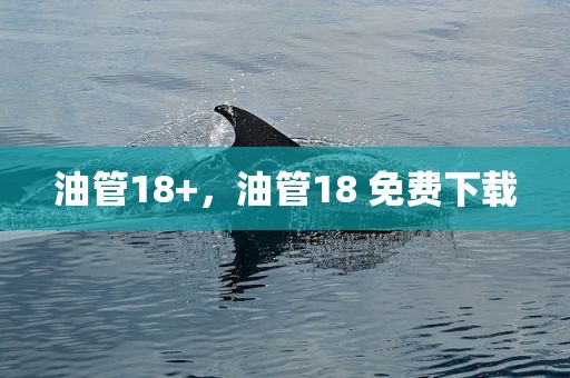 油管18+，油管18 免费下载