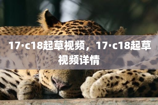 17·c18起草视频，17·c18起草视频详情