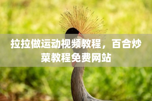 拉拉做运动视频教程，百合炒菜教程免费网站