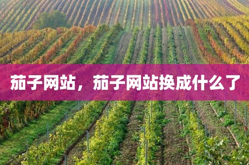 茄子网站，茄子网站换成什么了
