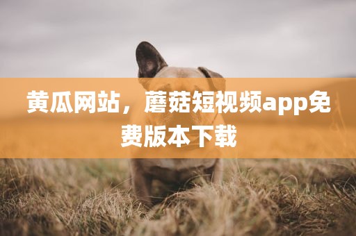 黄瓜网站，蘑菇短视频app免费版本下载