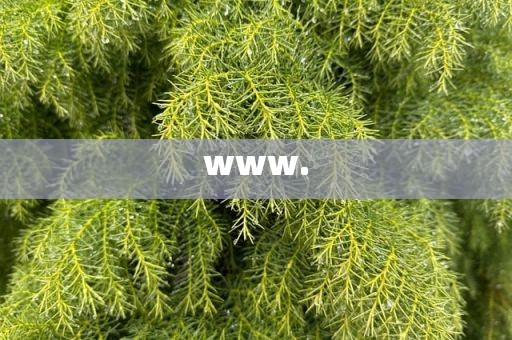 www.