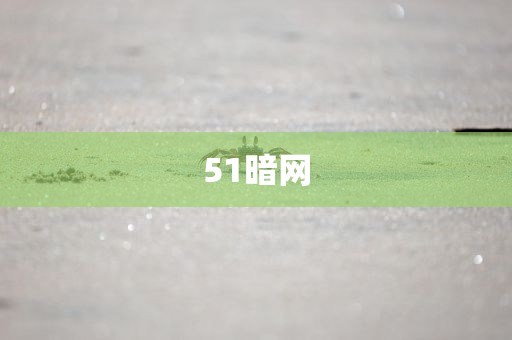 51暗网