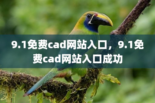 9.1免费cad网站入口，9.1免费cad网站入口成功