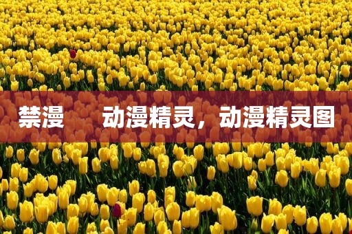 禁漫      动漫精灵，动漫精灵图