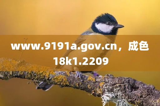 www.9191a.gov.cn，成色18k1.2209