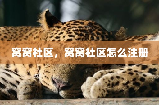 窝窝社区，窝窝社区怎么注册