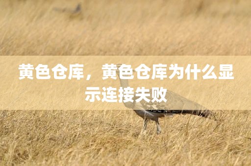 黄色仓库，黄色仓库为什么显示连接失败
