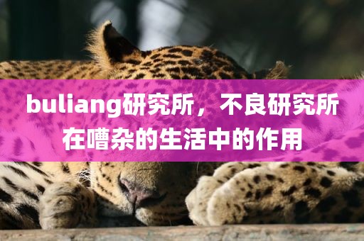 buliang研究所，不良研究所在嘈杂的生活中的作用