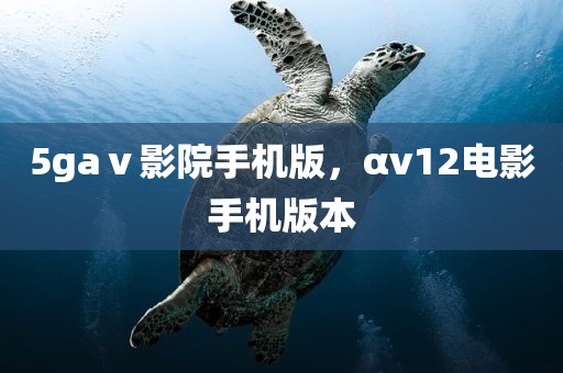 5gaⅴ影院手机版，αv12电影手机版本