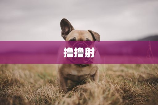 撸撸射