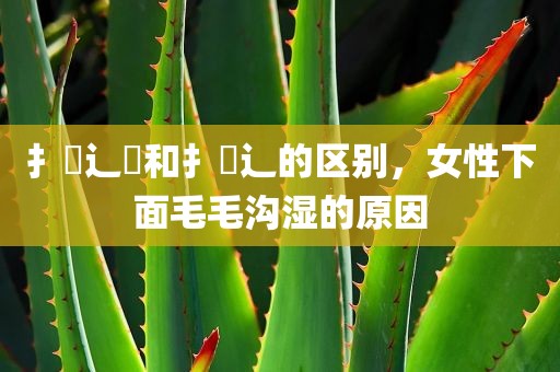 扌喿辶畐和扌喿辶的区别，女性下面毛毛沟湿的原因