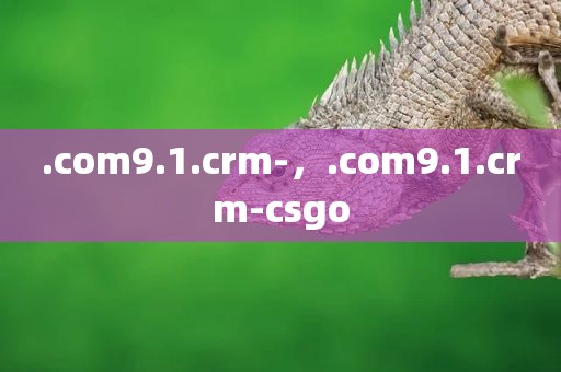 .com9.1.crm-，.com9.1.crm-csgo
