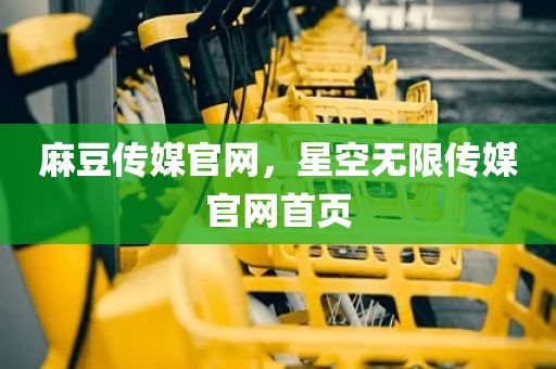 麻豆传媒官网，星空无限传媒官网首页