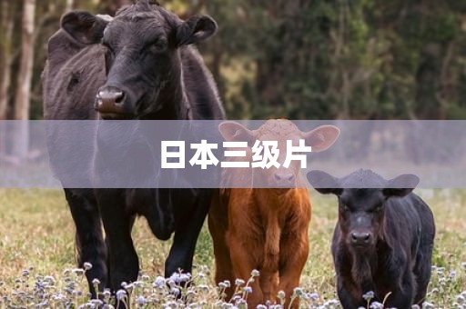 日本三级片