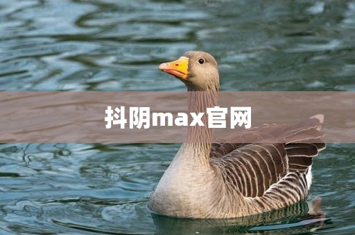 抖阴max官网