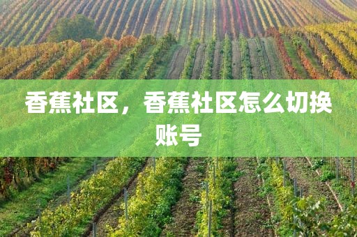香蕉社区，香蕉社区怎么切换账号