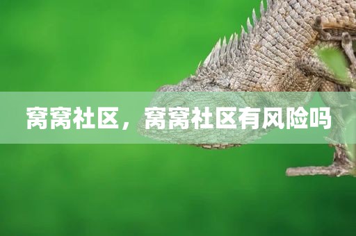 窝窝社区，窝窝社区有风险吗