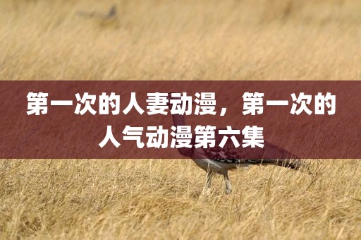 第一次的人妻动漫，第一次的人气动漫第六集