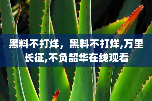 黑料不打烊，黑料不打烊,万里长征,不负韶华在线观看