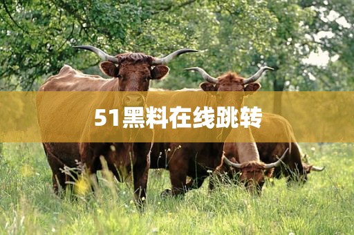 51黑料在线跳转