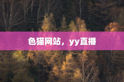 色猫网站，yy直播