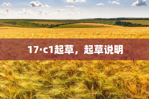 17·c1起草，起草说明