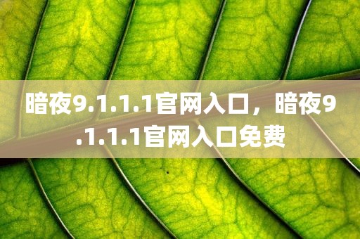 暗夜9.1.1.1官网入口，暗夜9.1.1.1官网入口免费