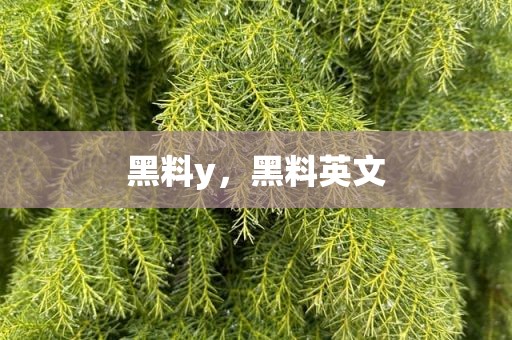 黑料y，黑料英文