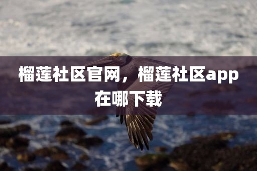 榴莲社区官网，榴莲社区app在哪下载