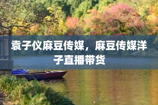 袁子仪麻豆传媒，麻豆传媒洋子直播带货