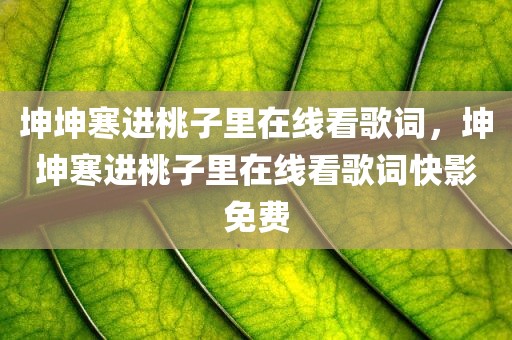 坤坤寒进桃子里在线看歌词，坤坤寒进桃子里在线看歌词快影免费