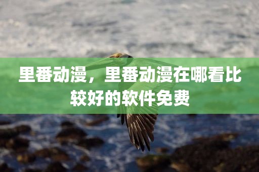 里番动漫，里番动漫在哪看比较好的软件免费
