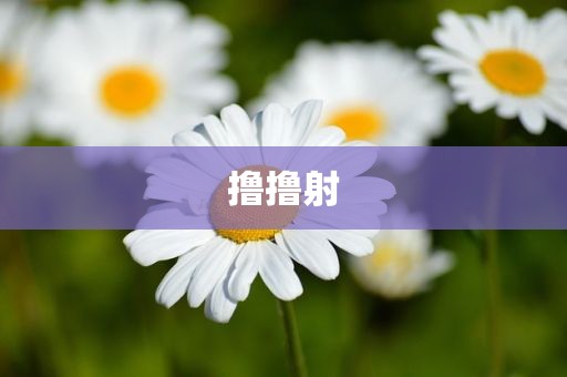 撸撸射