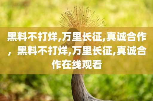 黑料不打烊,万里长征,真诚合作，黑料不打烊,万里长征,真诚合作在线观看