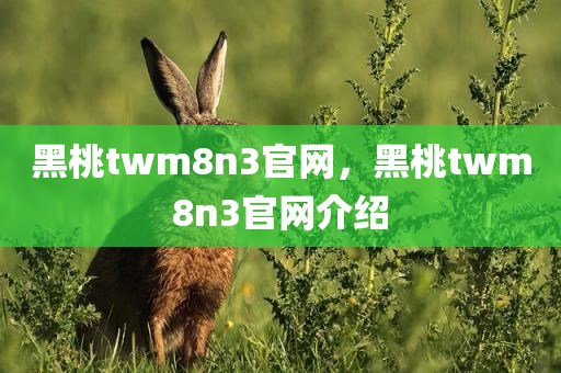 黑桃twm8n3官网，黑桃twm8n3官网介绍
