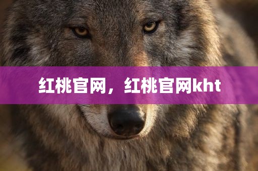 红桃官网，红桃官网kht