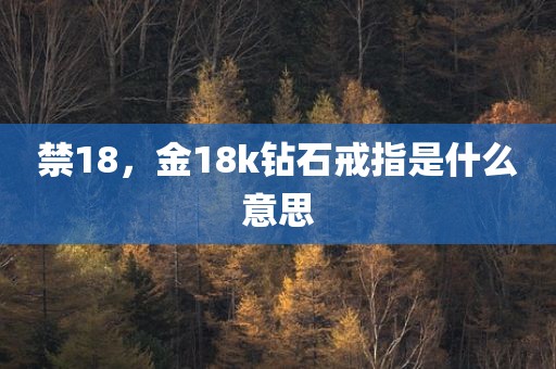 禁18，金18k钻石戒指是什么意思