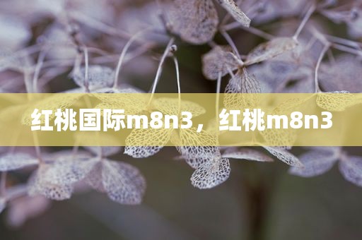 红桃国际m8n3，红桃m8n3