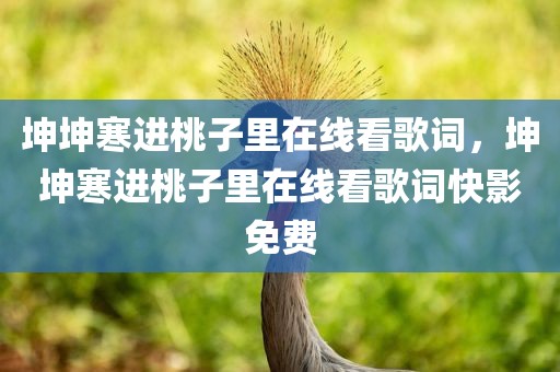 坤坤寒进桃子里在线看歌词，坤坤寒进桃子里在线看歌词快影免费