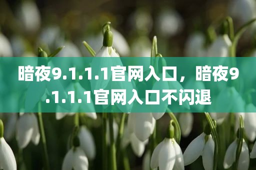 暗夜9.1.1.1官网入口，暗夜9.1.1.1官网入口不闪退