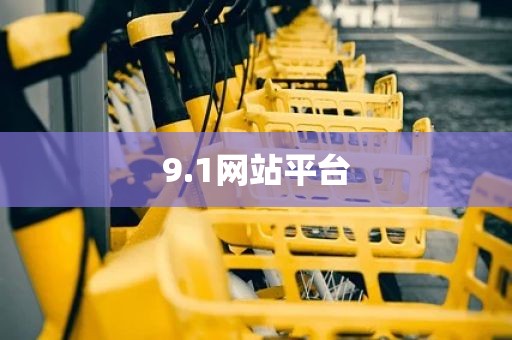 9.1网站平台