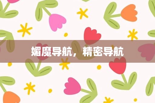 媚魔导航，精密导航