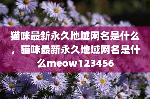 猫咪最新永久地域网名是什么，猫咪最新永久地域网名是什么meow123456