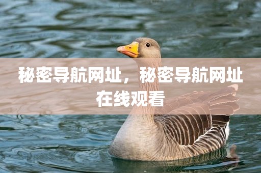 秘密导航网址，秘密导航网址在线观看