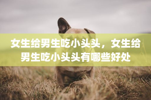 女生给男生吃小头头，女生给男生吃小头头有哪些好处