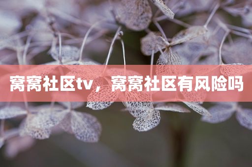 窝窝社区tv，窝窝社区有风险吗