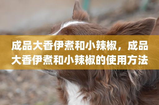 成品大香伊煮和小辣椒，成品大香伊煮和小辣椒的使用方法