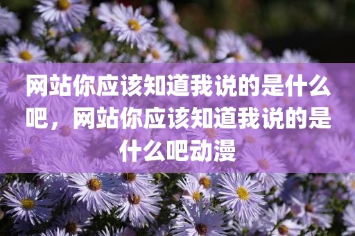 网站你应该知道我说的是什么吧，网站你应该知道我说的是什么吧动漫