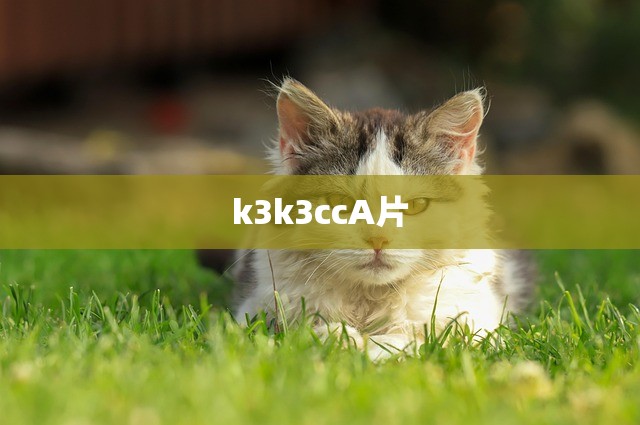 k3k3ccA片